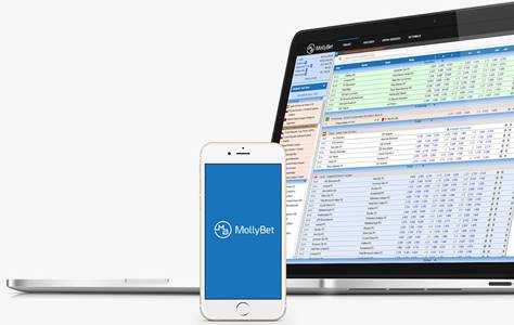 Översikt av programvaran på olika plattformar